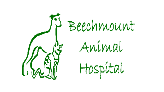 Beechmount Animal Hospital