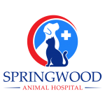Springwood Animal Hospital