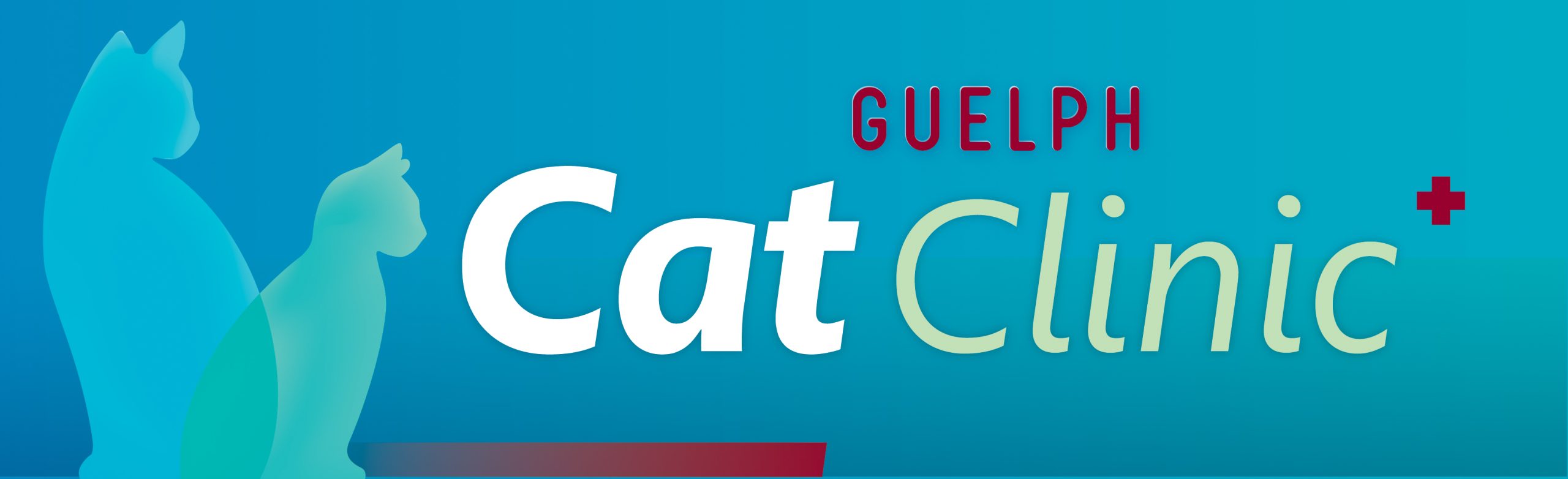 Guelph Cat Clinic