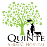 Quinte Animal Hospital