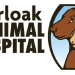 Burloak Animal Hospital