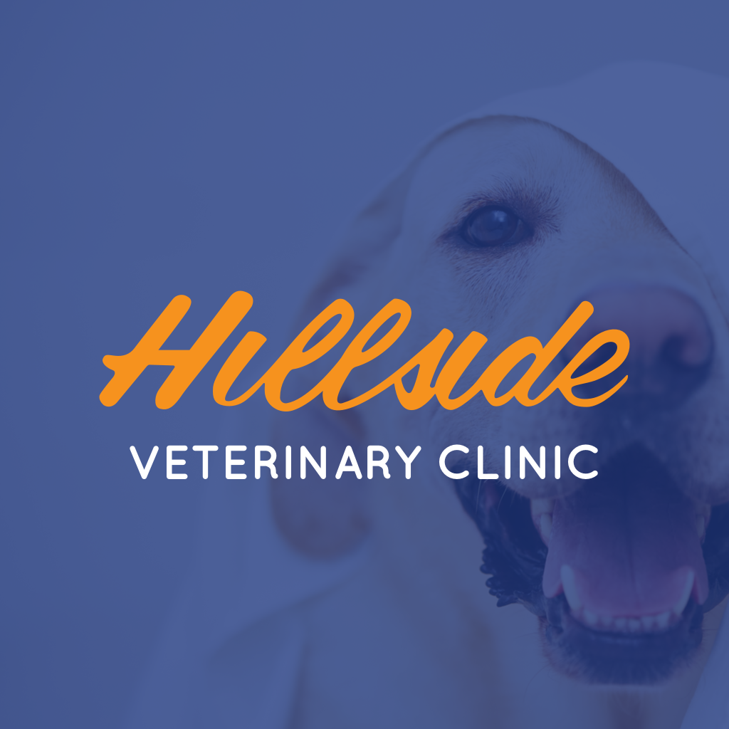 Hillside Veterinary Clinic