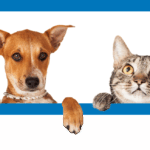 Ontario SPCA and Humane Society