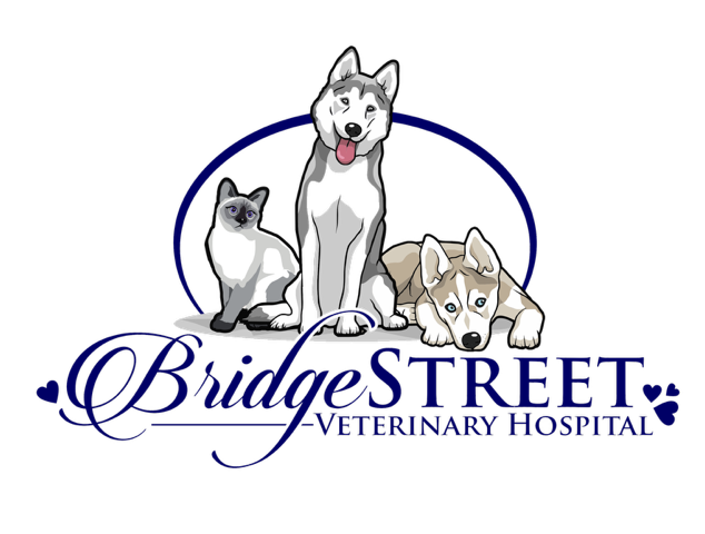 Bridge Street Veterinary Hospital