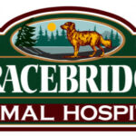 Bracebridge Animal Hospital